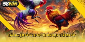 Đá Gà Thomo Có Bình Luận Viên
