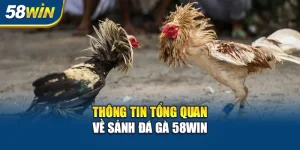 Đá Gà 58WIN