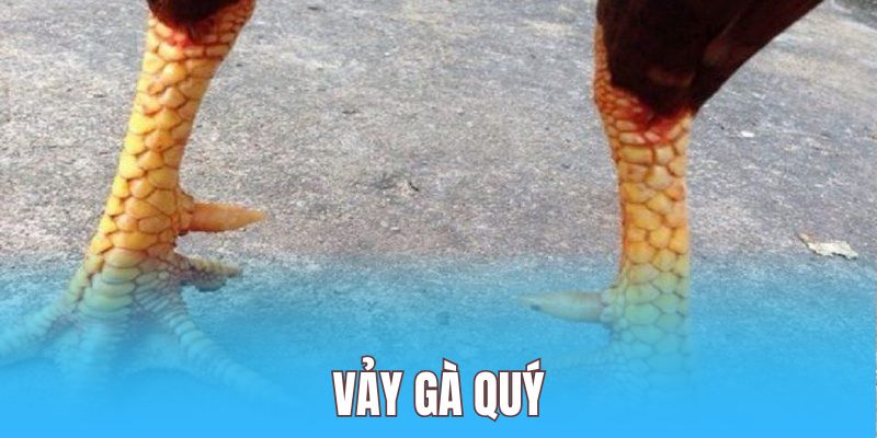 Các Yếu Tố Khác Ảnh Hưởng Đến Khả Năng Thắng Của Gà Đá