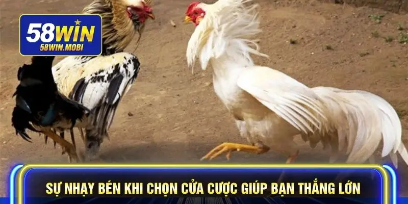 Sự nhạy bén khi chọn cửa cược giúp bạn thắng lớn
